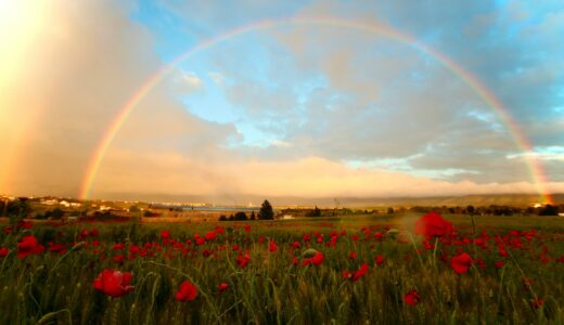 自然分娩でも叶う！幸せで楽しく痛みの少ない出産になる！おすすめの本と動画を紹介☆